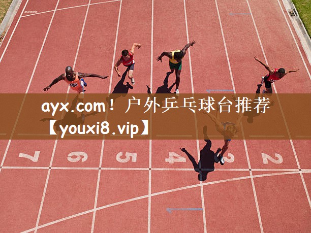 ayx.com！户外乒乓球台推荐