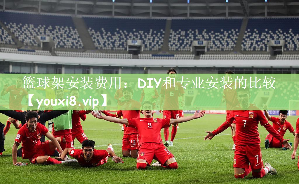 篮球架安装费用：DIY和专业安装的比较