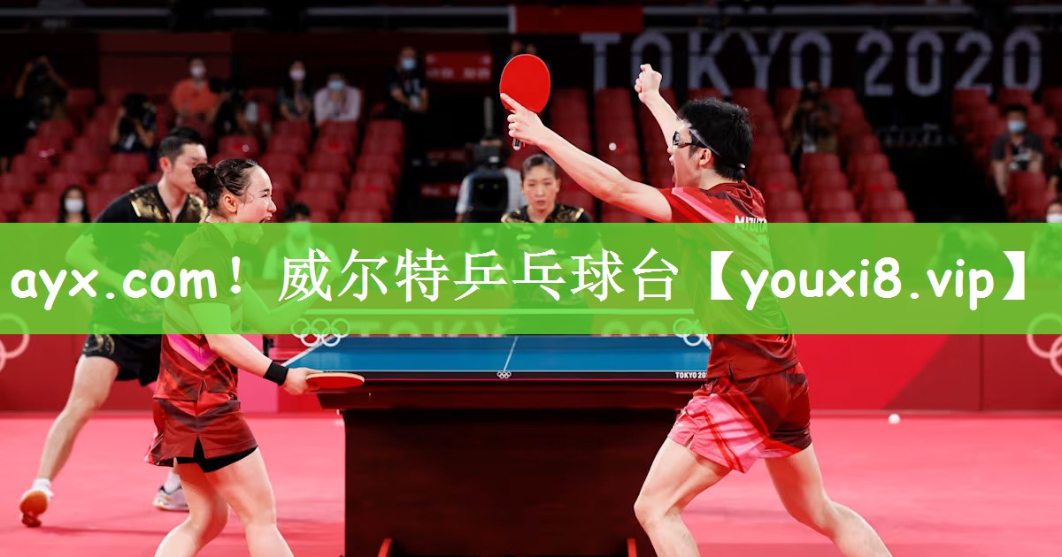 ayx.com！威尔特乒乓球台