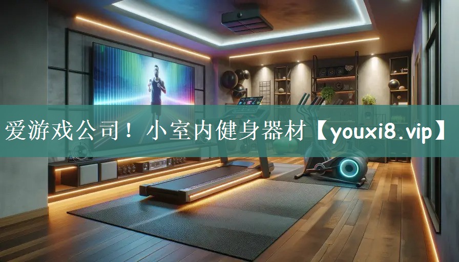 爱游戏公司！小室内健身器材