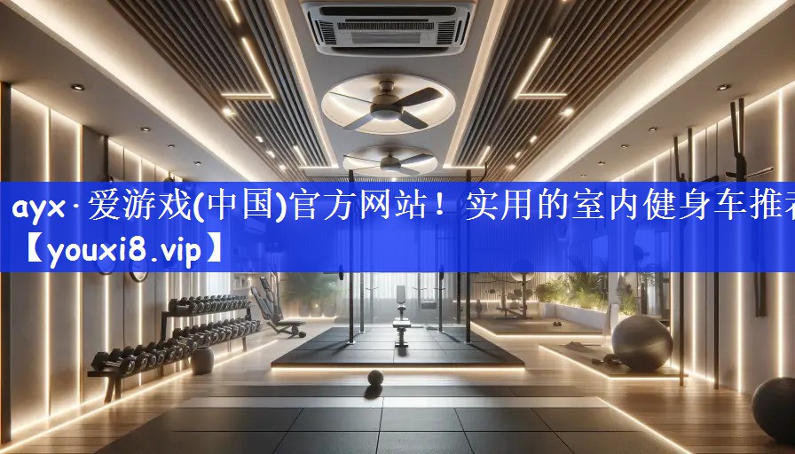实用的室内健身车推荐