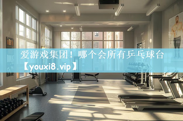 哪个会所有乒乓球台